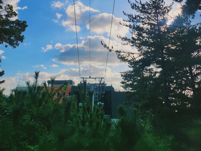 목포 전망대 💙 피크닉 명소