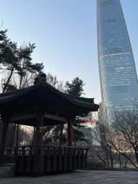 Seokchon Lake with Lotte Tower View