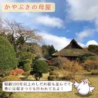 【静岡】御殿場の紅葉狩りスポット「秩父宮記念公園」