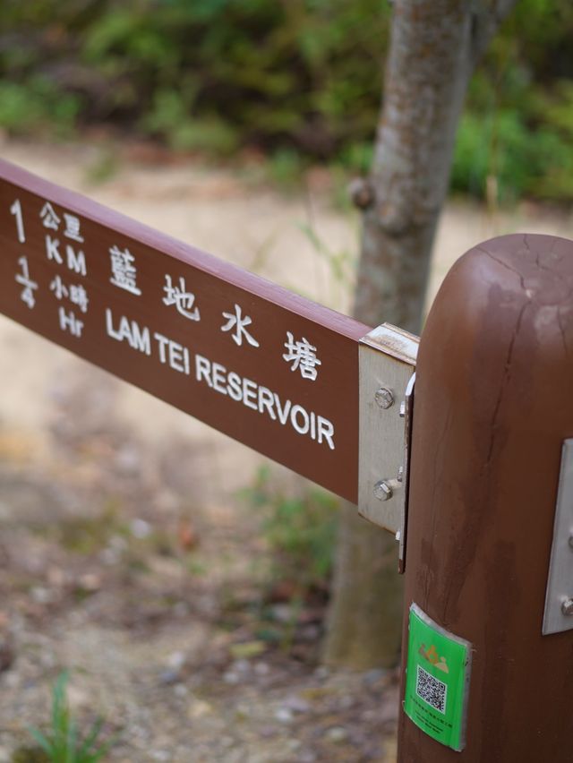 屯門徑彩虹欄杆
