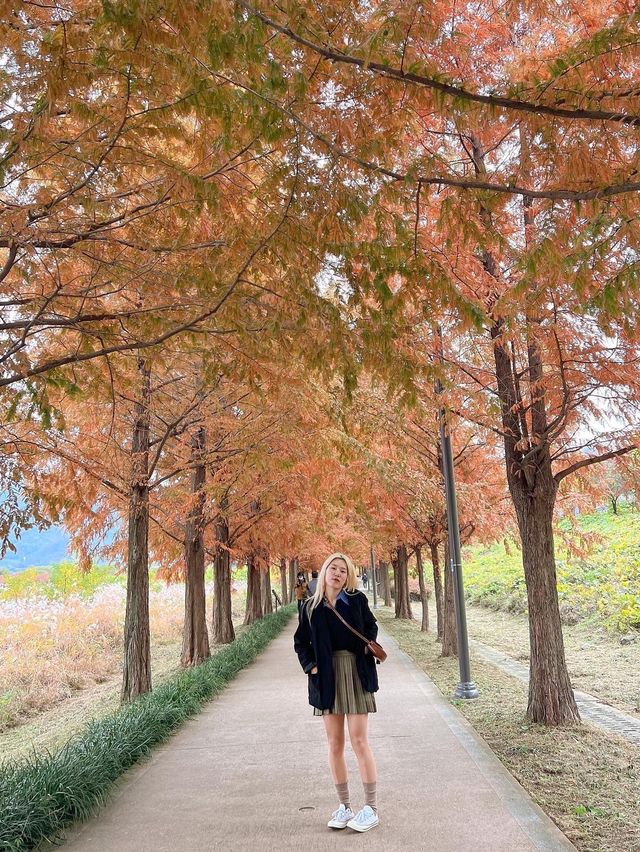 하남 스타필드 근처 가볼만한곳❣️