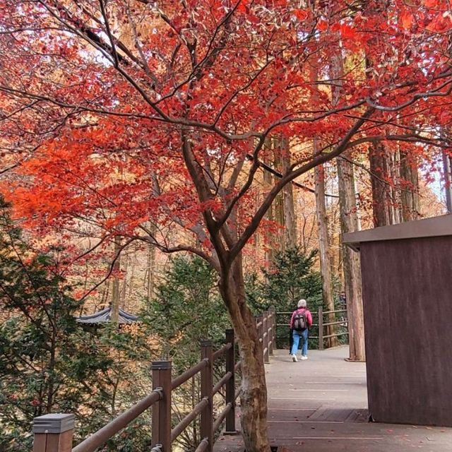 Autumn in Jangtaesan 