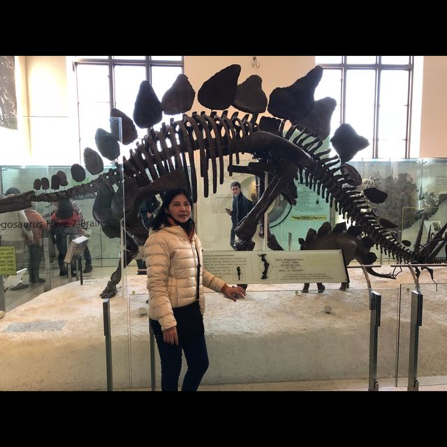 มาเที่ยว American Museum of Natural History ค่ะ