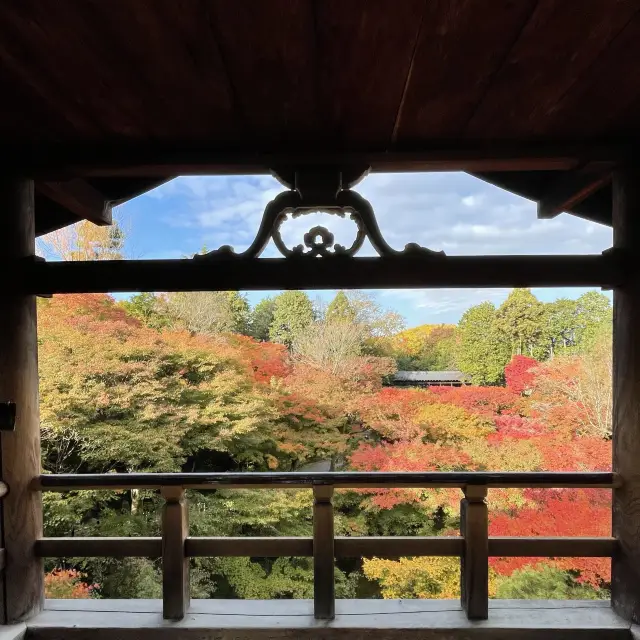 【京都府】通天橋から望む絶景の紅葉