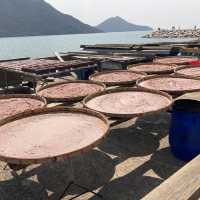 VISIT LANTAU ISLAND: Tai O (Must-go places in Hong Kong)