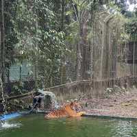 A day in Zoo Negara 🦓🦧🐑🦜🦩🦥