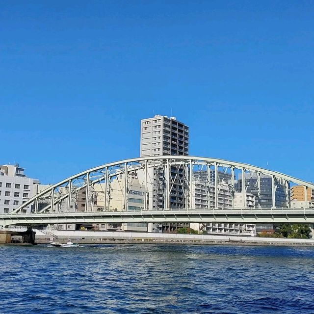 Sightseeing in Sumida River