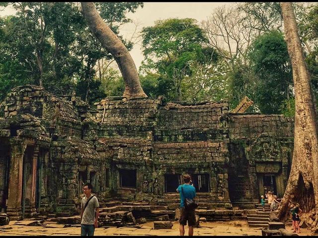 Ta Promh Temple 