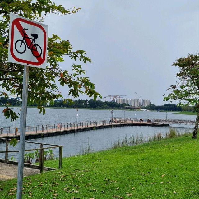 Just Chilling At Bedok Reservoir Park