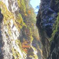 Autumn season, Nature’s Art Palette 