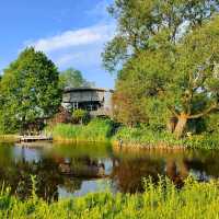 National Park de Biesbosch 