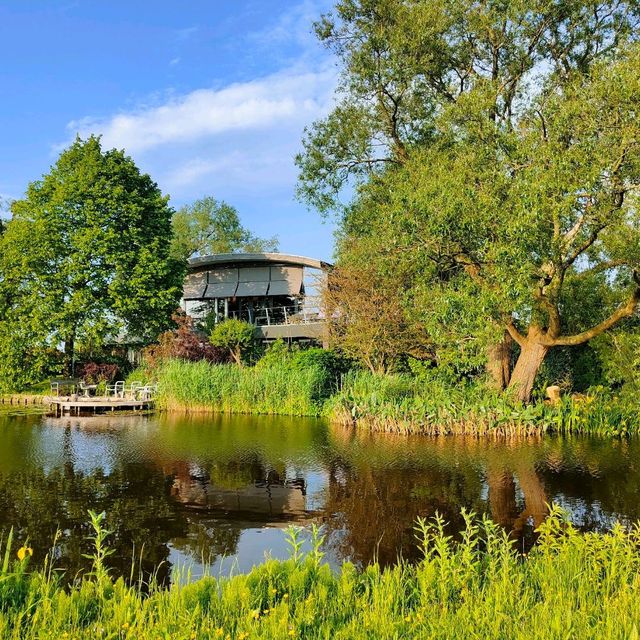 National Park de Biesbosch 