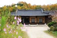 영주 무섬마을 외나무다리