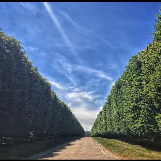 The Garden of Palace of Versailles