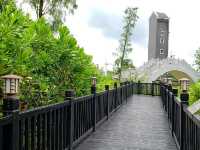 Into The Wetlands!
