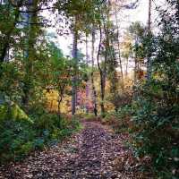 Get out into nature