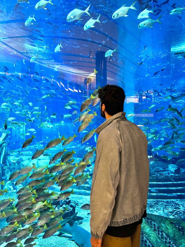 Incredible Aquarium 🐠