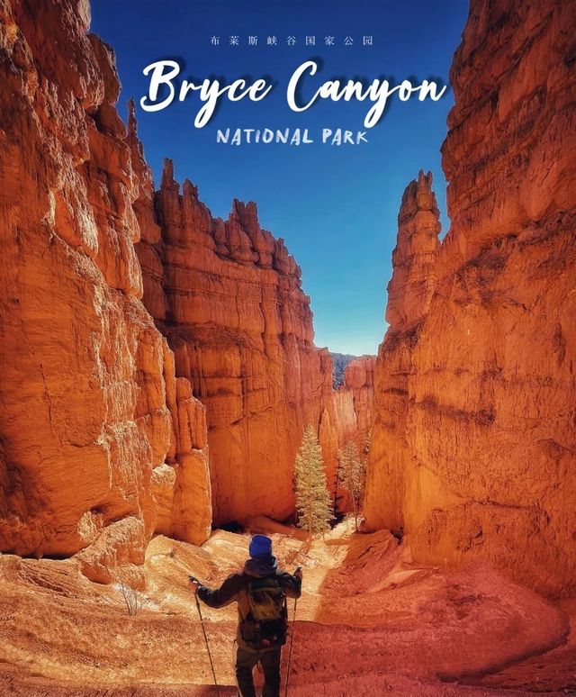 Bryce Canyon National Park from your perspective and senses.