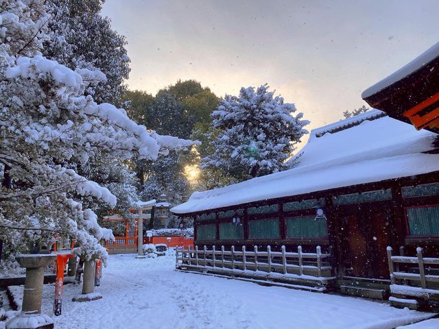 【Kyoto · Snowy Byodoin Temple · 2023】