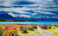 The South Island of New Zealand is part of New Zealand.