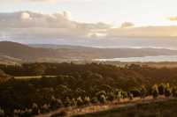 The wind blows along the Great Ocean , enjoy the scenery while hiking.