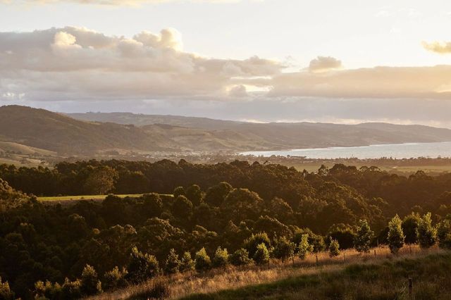 The wind blows along the Great Ocean , enjoy the scenery while hiking.