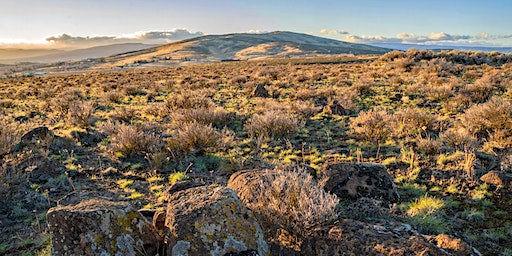 Get to Know a CCC Trail: Trailbreaker | Cowiche Canyon West Trailhead