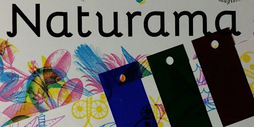 KrokusKabaal: tekenworkshop van Draak tot Vlinder | Bibliotheek Nieuw Waldeck