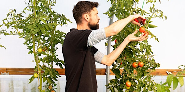Visit our Heritage Seed Library - Garden Organic Open Days | Garden Organic