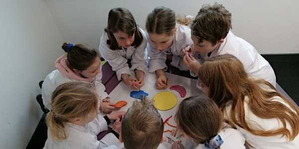 Kids Science Camp - Space & Forces - Cardigan | Mwldan