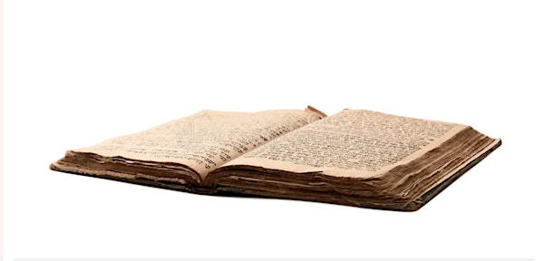 Tea & Torah:  Weekly Parasha Study | 64 Powell Ave