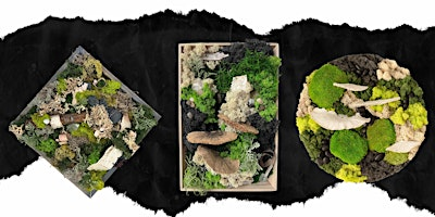 Moss Art Workshop - Greenhouse Experience | Kinnik Kinnik Landing - Kelowna