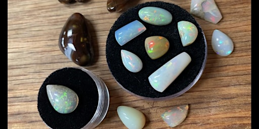 Advanced Lapidary Level 3 - Opal Cabochon Cutting | NW Rockhounds