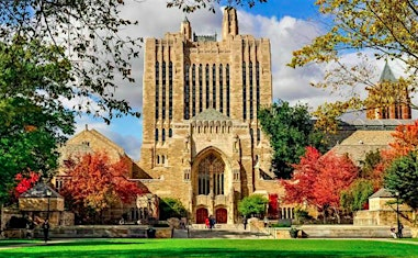 D Programming Language Symposium | Hillhouse Avenue