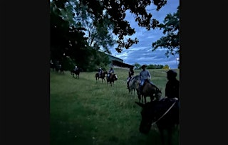 Moonlight Horseback Ride- Fox River Trail (long ride) with Bonfire & Tarot | Millbrook Trail Rides - Rides by appointment only