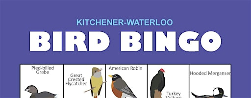 Bird Friendly Waterloo Bird Bingo | Graduate House