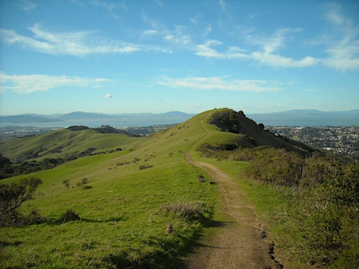 Wildcat Canyon Wander | Wildcat Canyon Regional Park