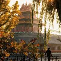 FORBIDDEN CITY