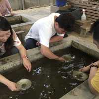 瑞芳黃金博物館 - 體驗舊時光的挖礦辛勞