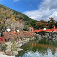 【大阪】勝尾寺｜勝ちダルマに圧倒される😍