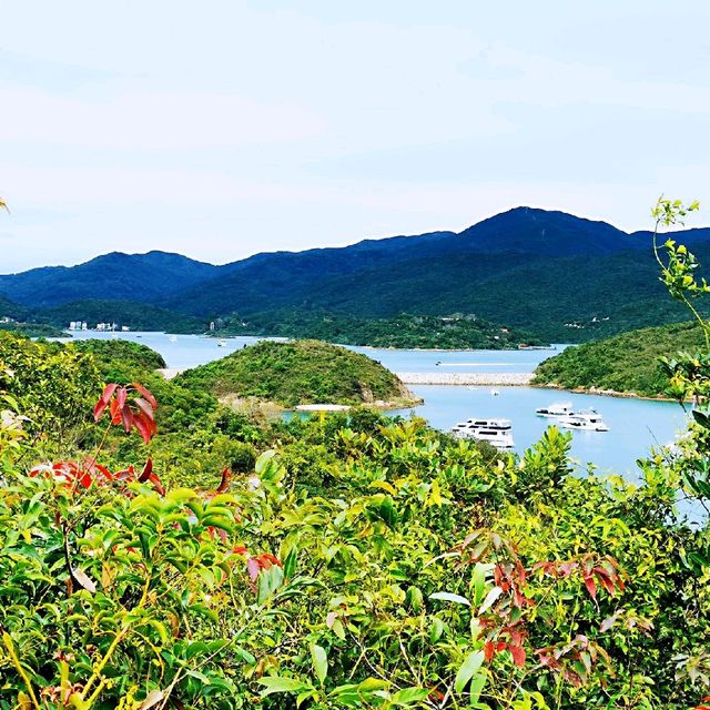故事小島—鹽田梓