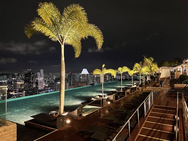 Marina Bay Sands SG Hotel Infinity Pool