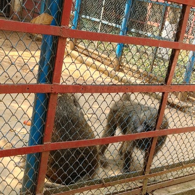 Bangladesh Dhaka International zoo 