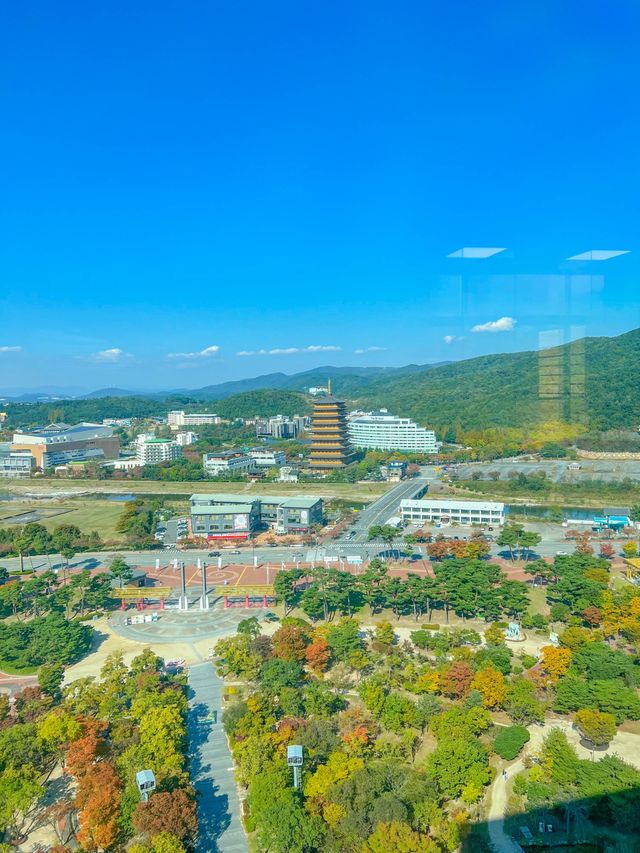 '경주타워 전망대' 에서 경주의 모습 구경