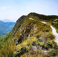 屏風山、黃嶺、八仙嶺