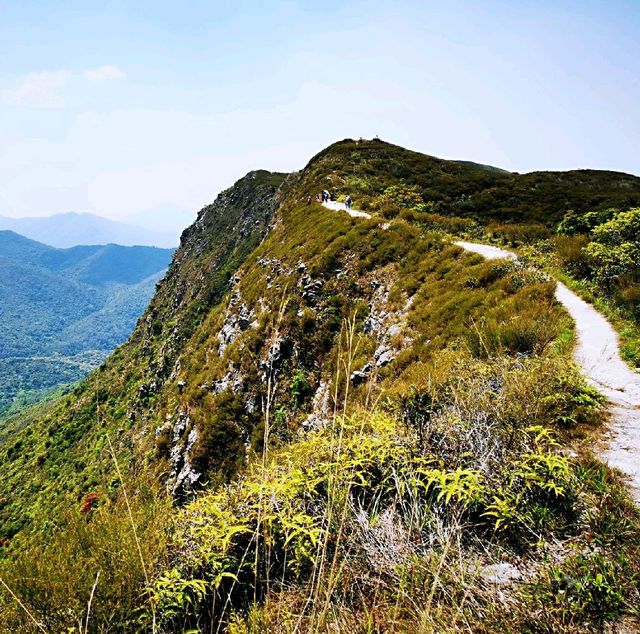 屏風山、黃嶺、八仙嶺