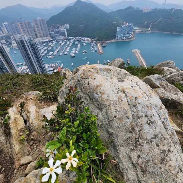 玉桂山