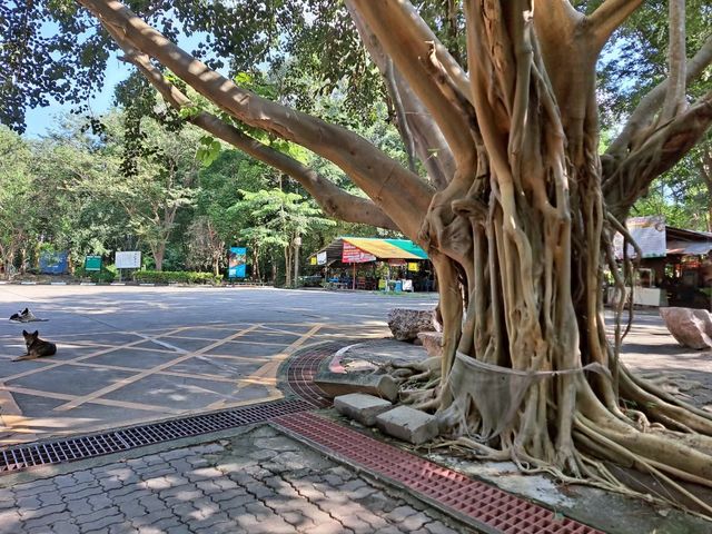 ถ้ำเขาบิน ฟินกับธรรมชาติ