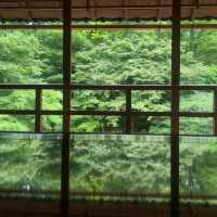 滋賀県にある旧竹林院にやってきた！🙋‍♀️🙋‍♂️