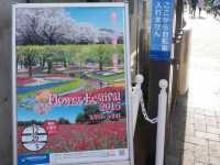東京賞花好去處｜花卉節🤩🤩🌹🌺